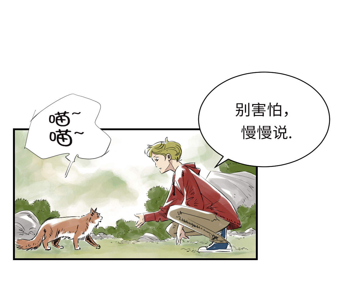 都市小说漫画,第6章： 阴谋的诞生2图