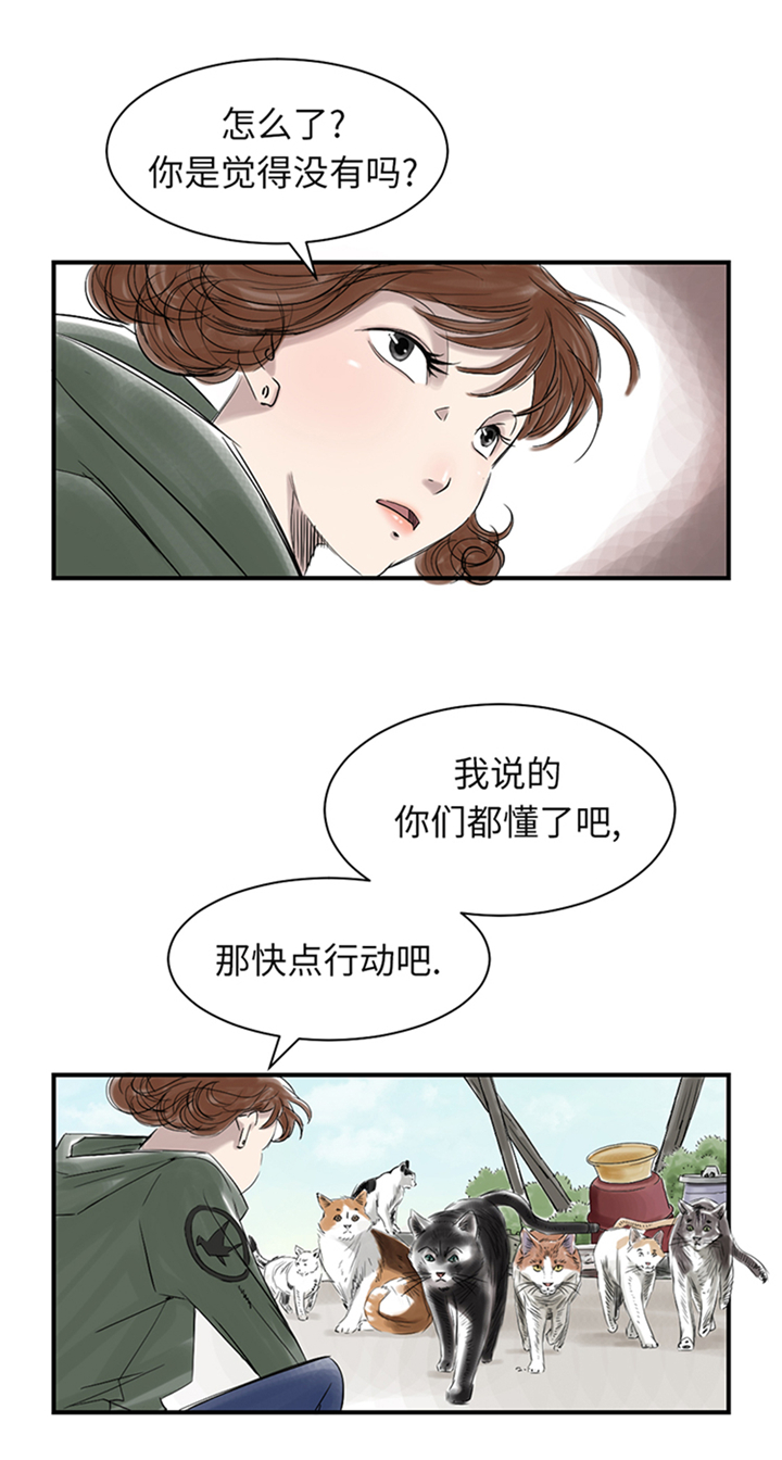 都市小说漫画,第78章：刺杀行动1图