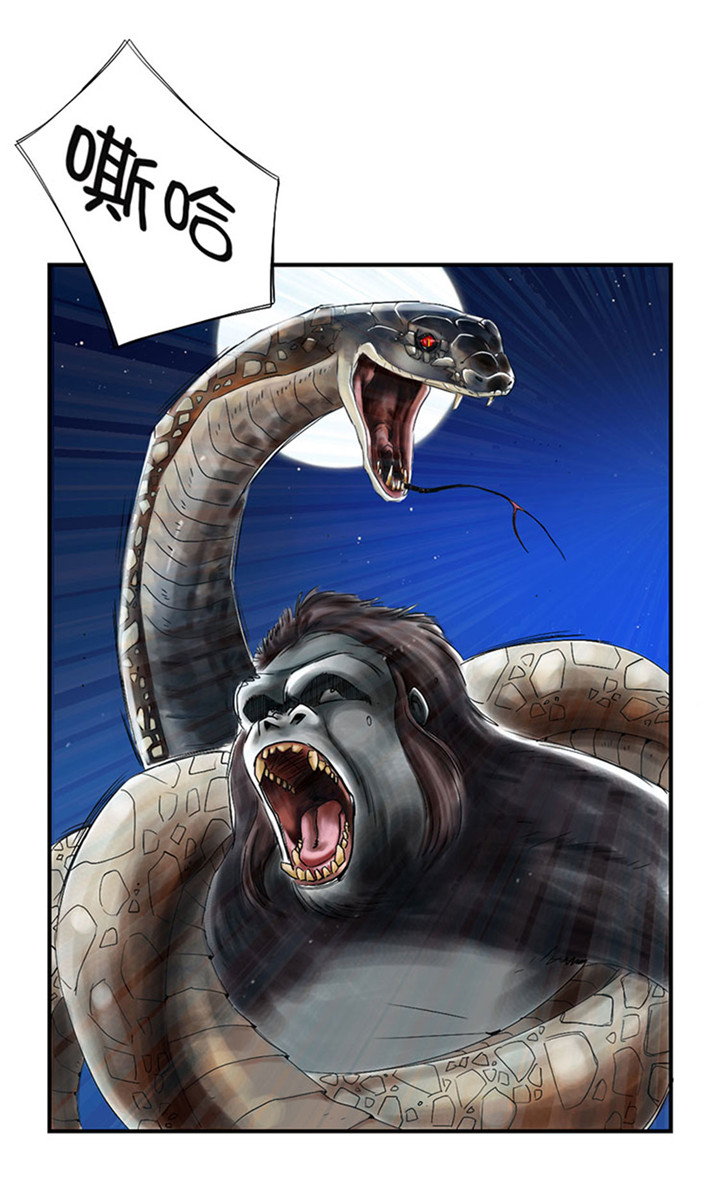 种付都市时间漫画,第58章：专属表演2图