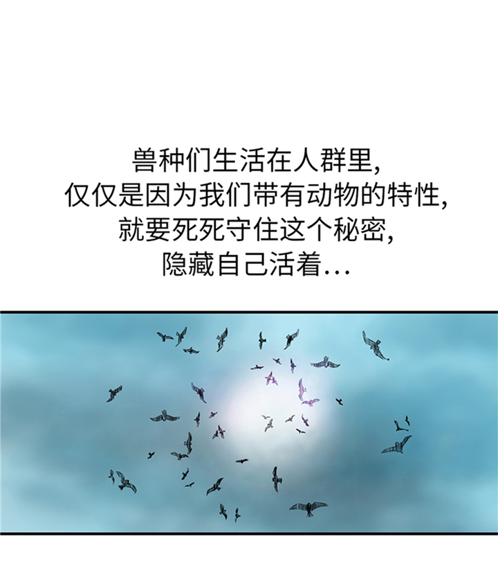 都市小说漫画,第94章：永不结束的战争(大结局)5图