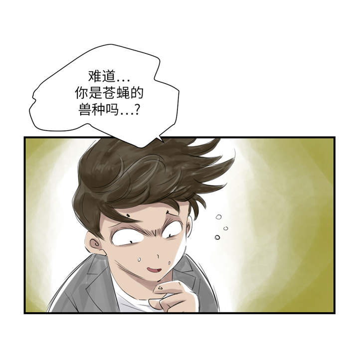 都市之我欲纵横小说漫画,第22章：苍蝇兽种2图