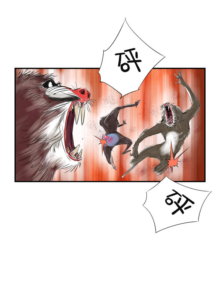 都市兽种漫画,第21章：虎口脱险（二）1图