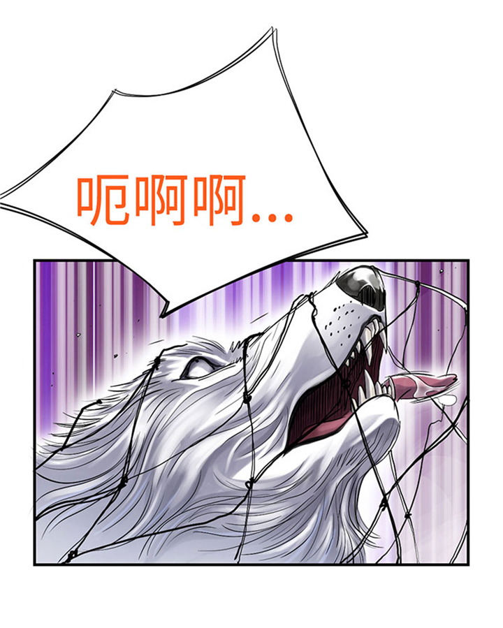 都市兽种漫画,第66章：押回去4图