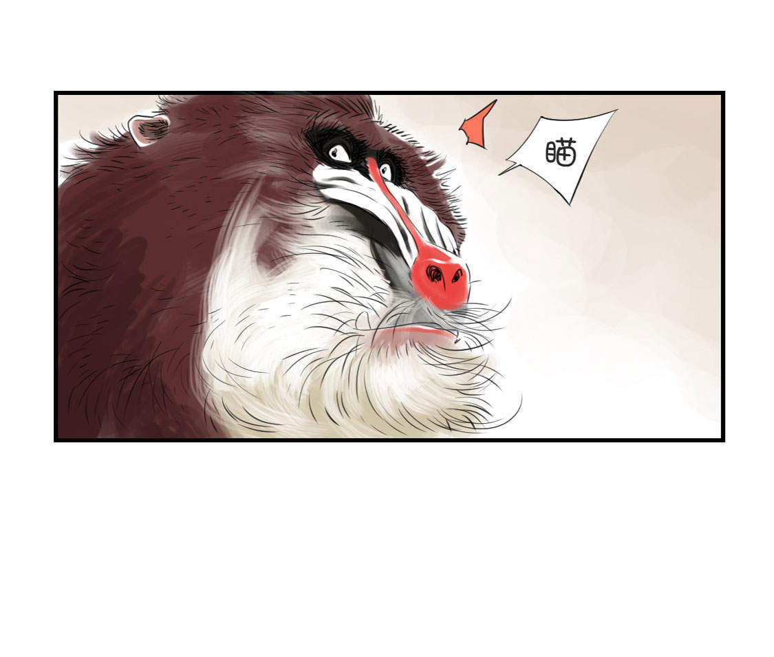 都市兽种漫画,第11章：消失的动物（二）3图