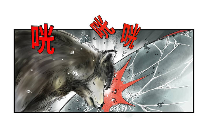 都市妖兽灵兽漫画,第37章：赌上警察生涯2图