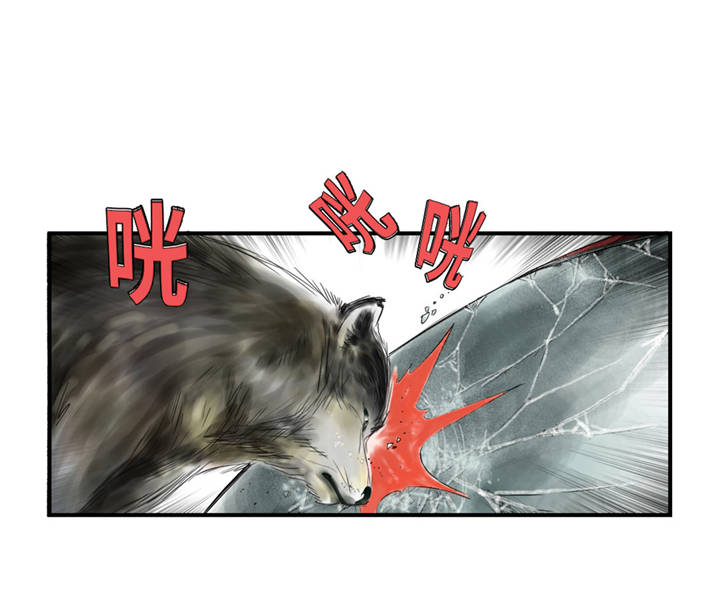 都市传闻漫画,第35章：新兽种3图