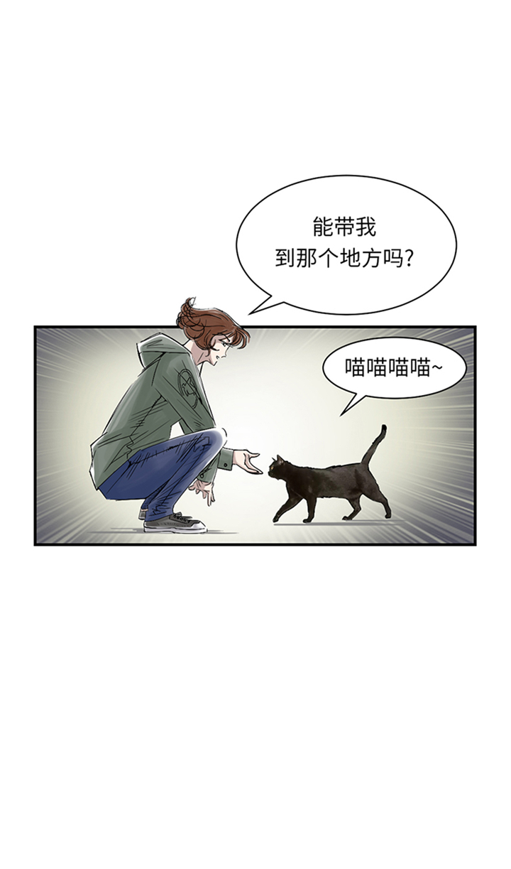 都市之我欲纵横小说漫画,第86章：去哪儿了!4图