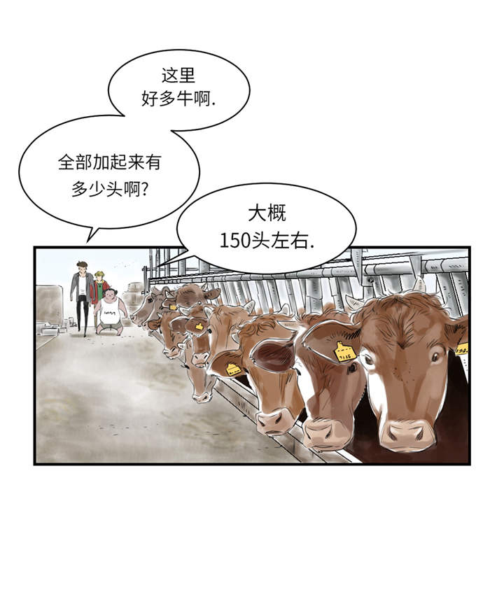 都市之我欲纵横小说漫画,第22章：苍蝇兽种5图