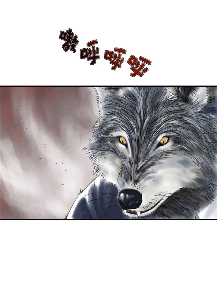 都市兽种漫画,第35章：新兽种2图