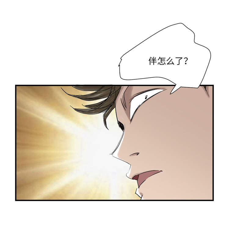 欢迎来种付都市漫画,第39章：消失的伴1图