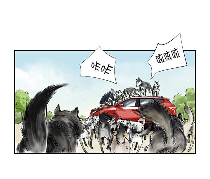 都市妖兽灵兽漫画,第37章：赌上警察生涯5图