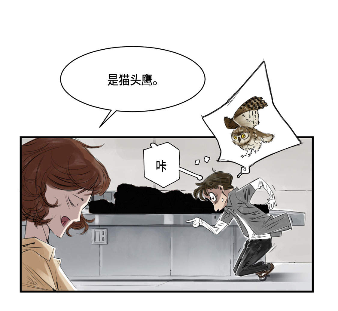 都市之我欲纵横小说漫画,第2章：特别行动队2图