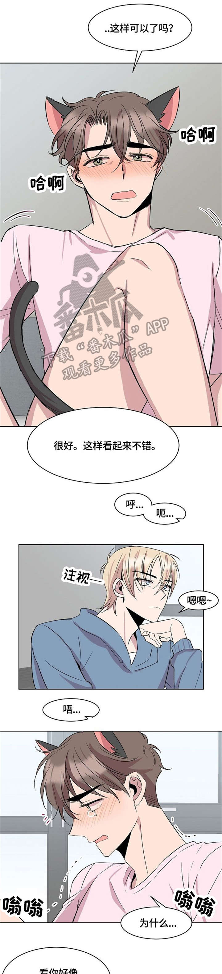 请你收留我漫画,第15章：猫耳2图