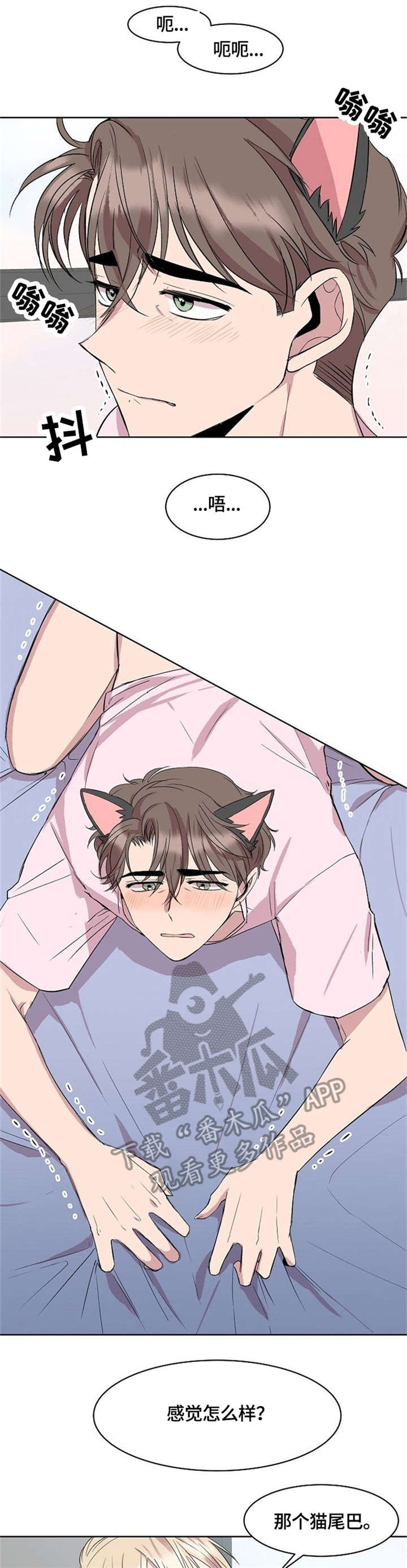 请你收留我漫画,第15章：猫耳1图