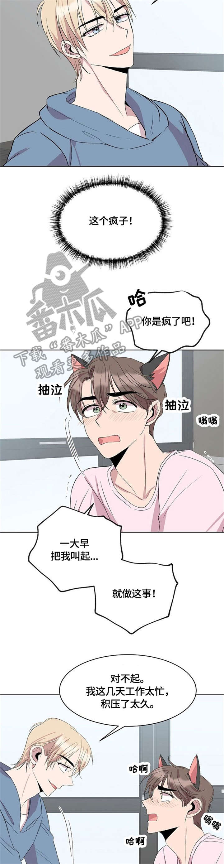 请你收留我漫画,第15章：猫耳2图