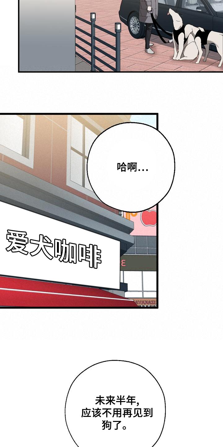危险交换漫画,第162章：固若金汤3图