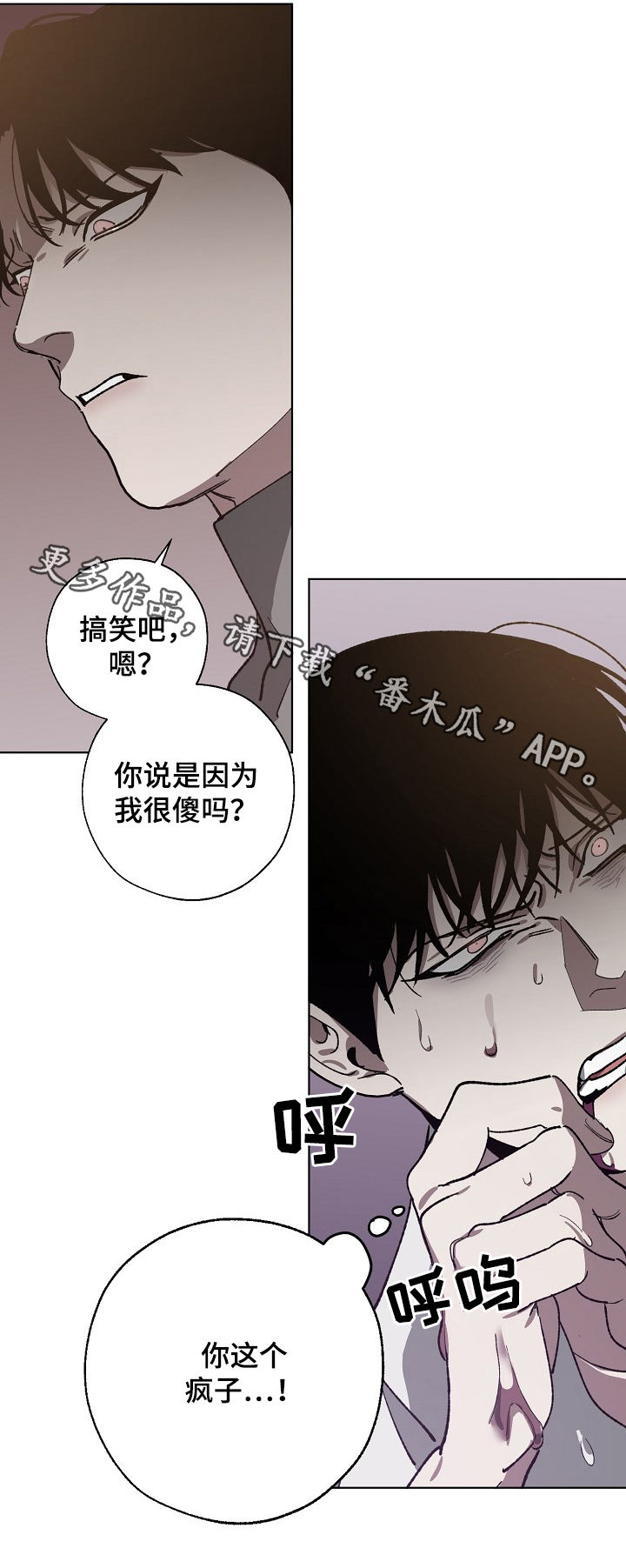 危险交换漫画,第52章：傻1图