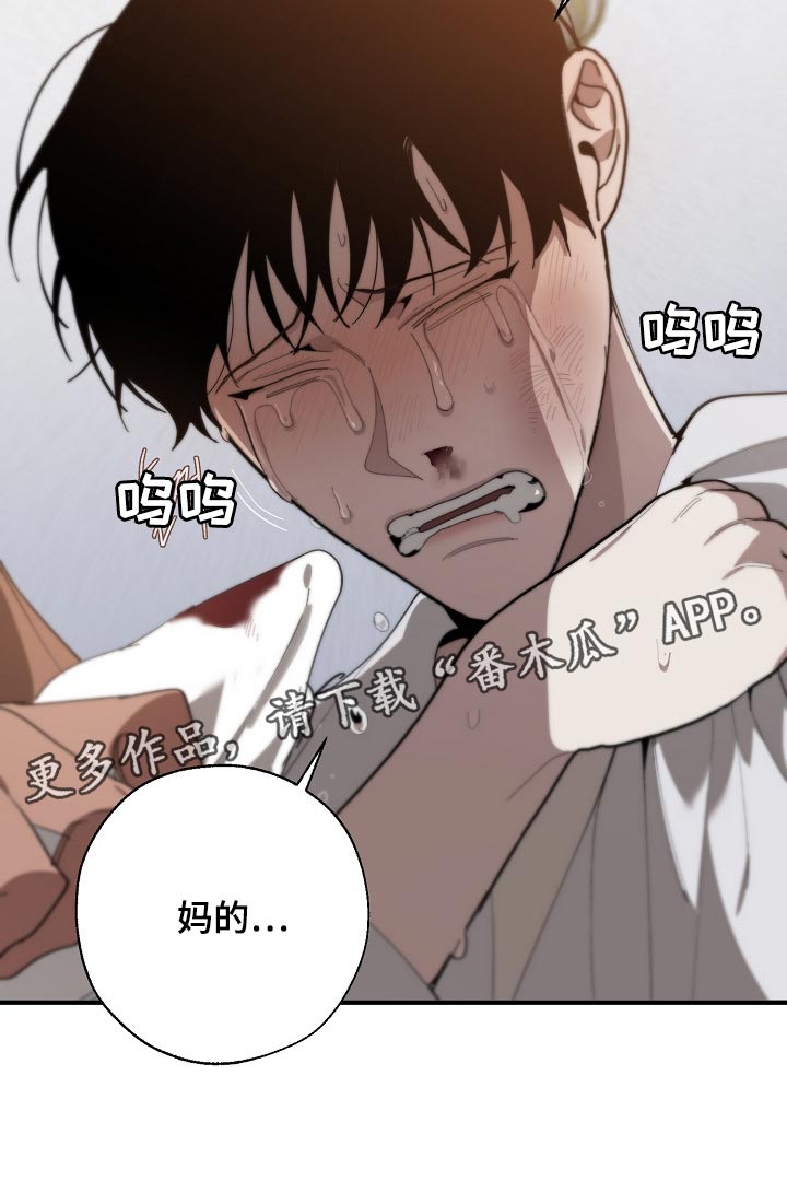 危险交换漫画,第128章：从来都没撒过谎4图