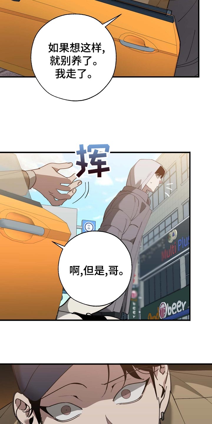 危险交换漫画,第161章：私人秘书4图