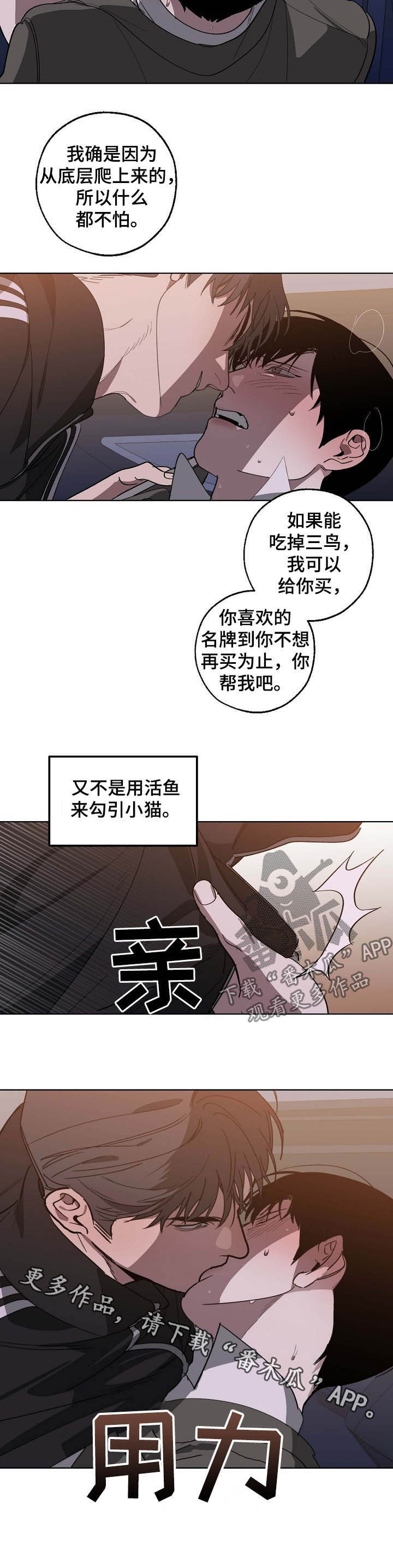 危险交换漫画,第92章：离间5图