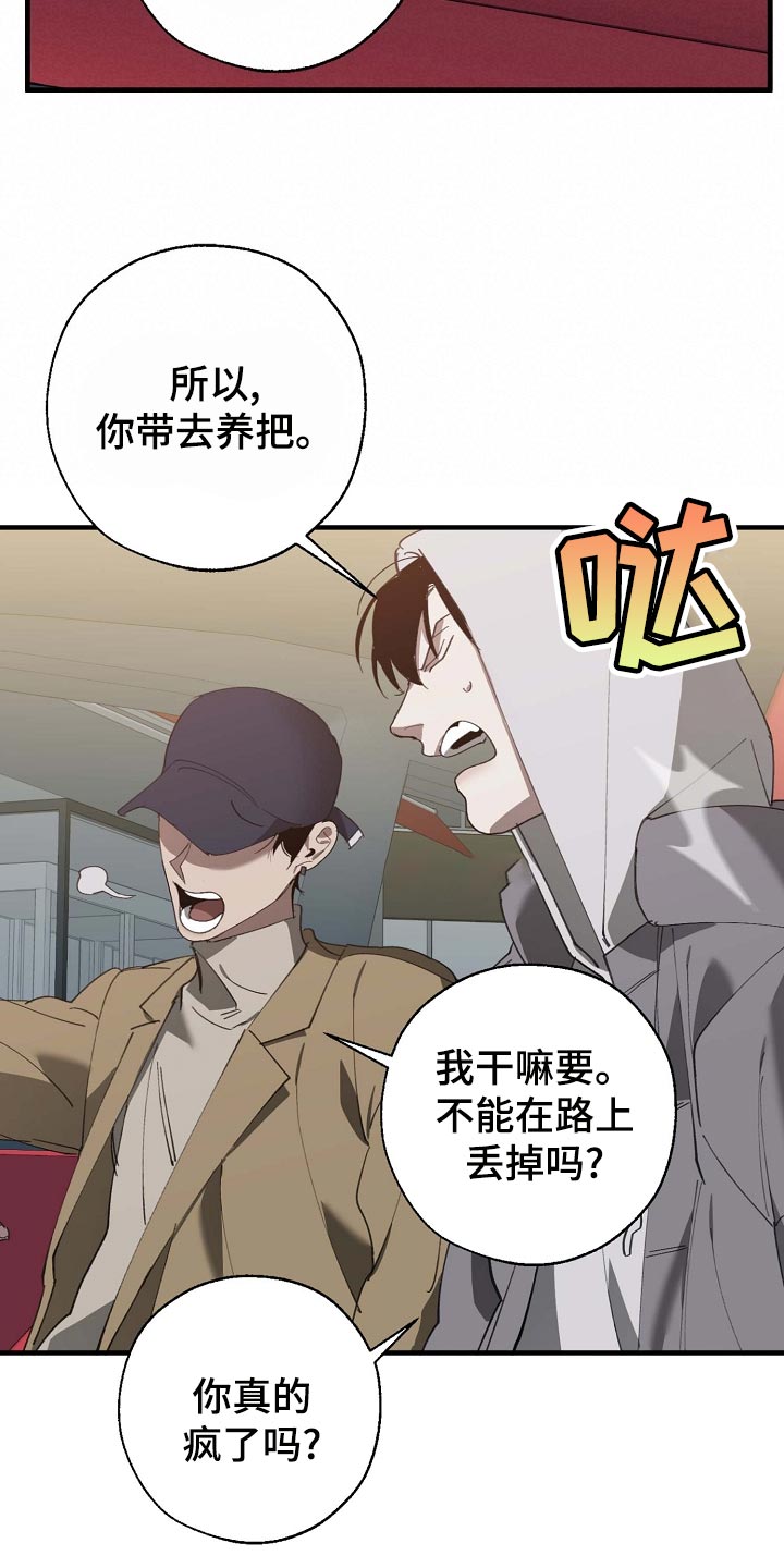 危险交换漫画,第160章：拍广告3图