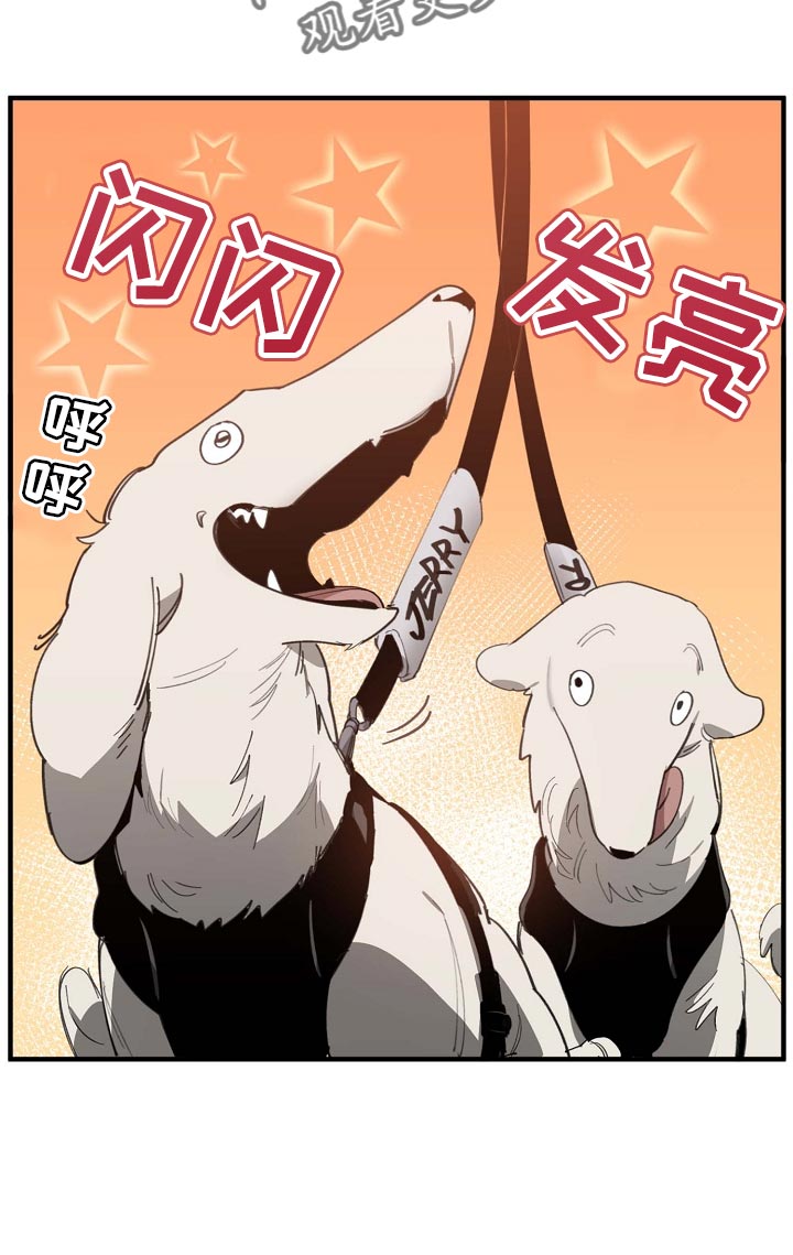 危险交换漫画,第160章：拍广告1图