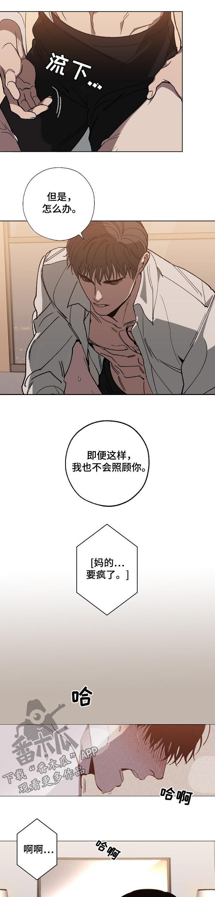 危险交换漫画,第41章：疯了1图