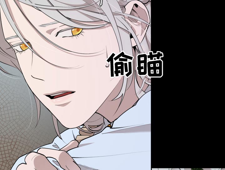 大公子的玩物漫画,第68章：【番外】要不要杀2图