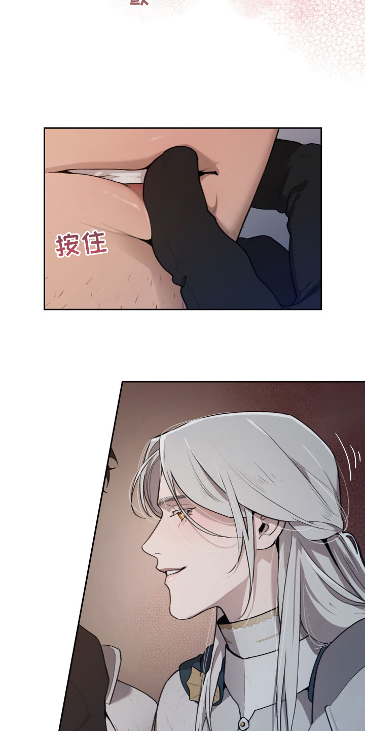 大公子的玩物漫画,第48章：我要罚你1图