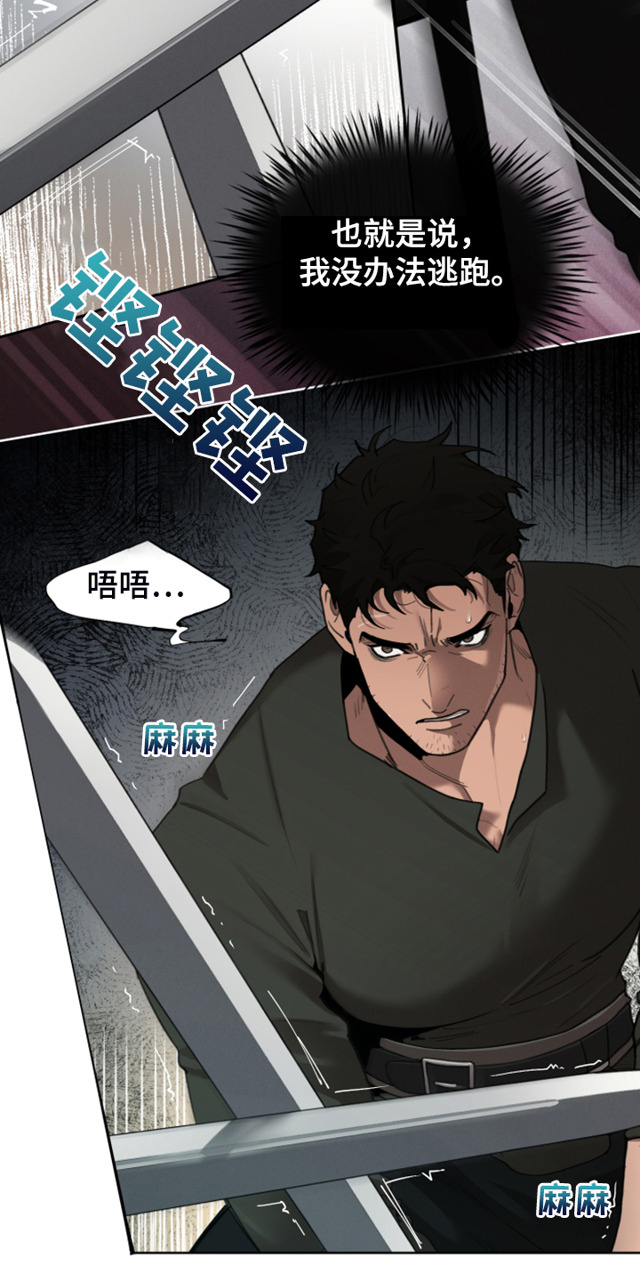 大公子的玩物漫画,第64章：跟我回去吧5图