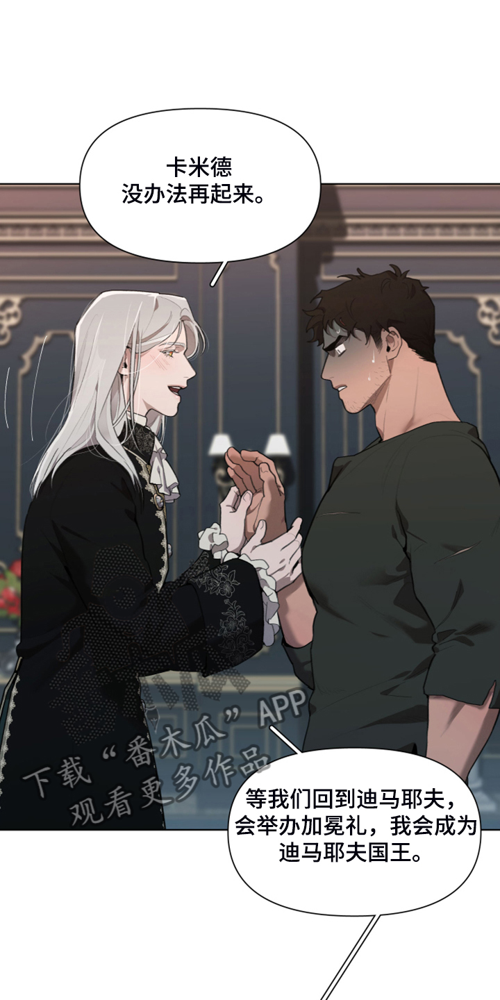 大公子的玩物漫画,第67章：【完结】做我的王妃4图