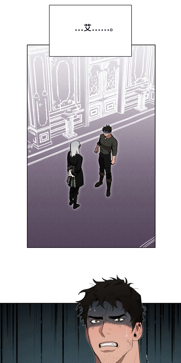 大公子的玩物漫画,第67章：【完结】做我的王妃3图