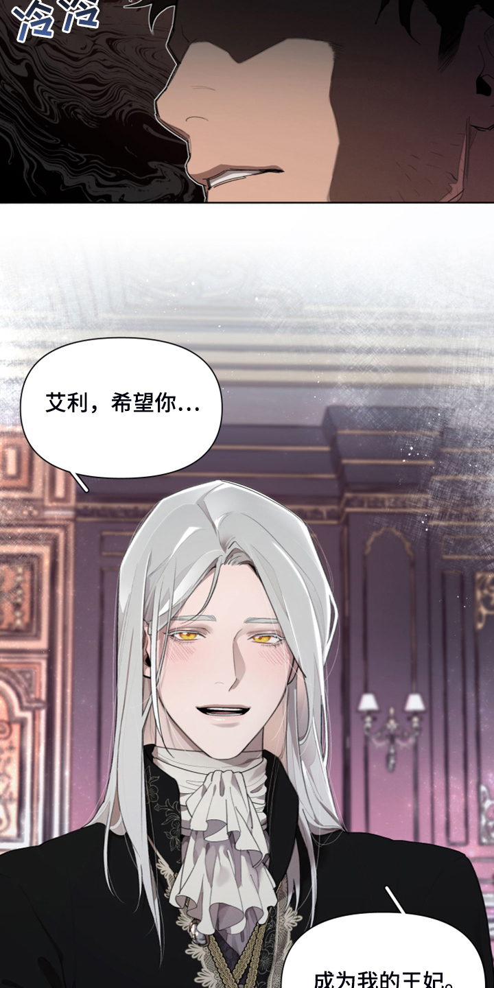 大公子的玩物漫画,第67章：【完结】做我的王妃3图