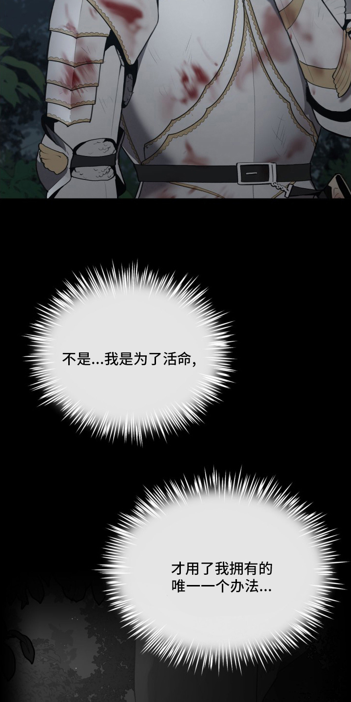 大公子的玩物漫画,第46章：攻陷2图