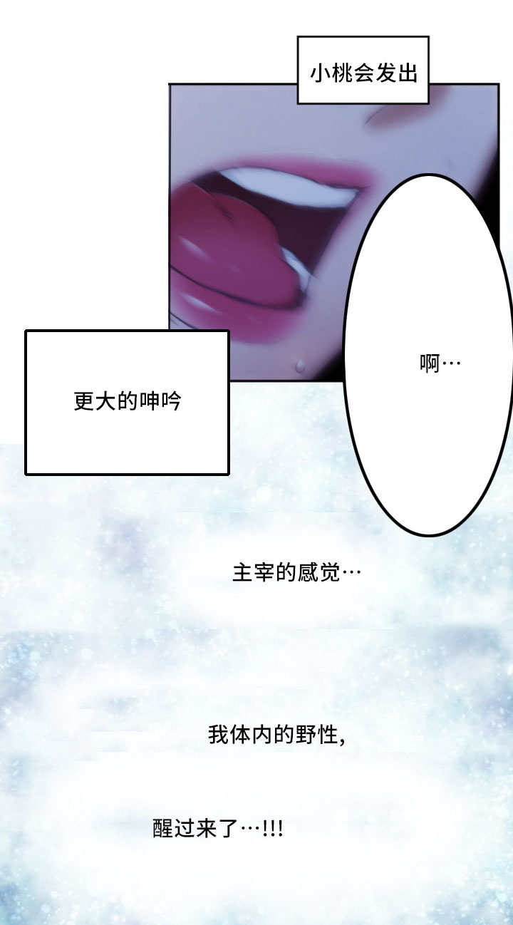 印泥漫画,第32章：野性4图