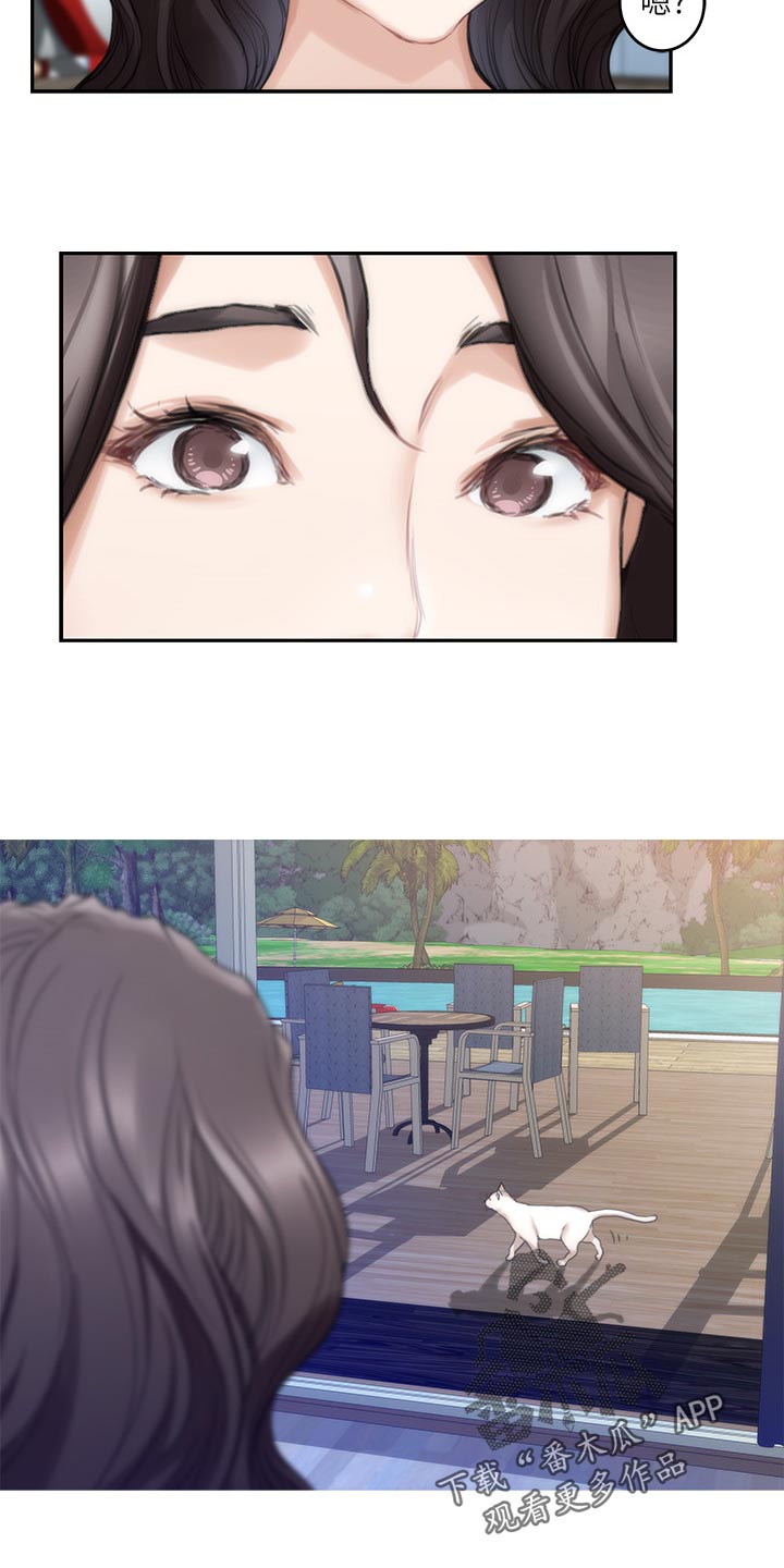 印泥漫画,第127章：小野猫4图