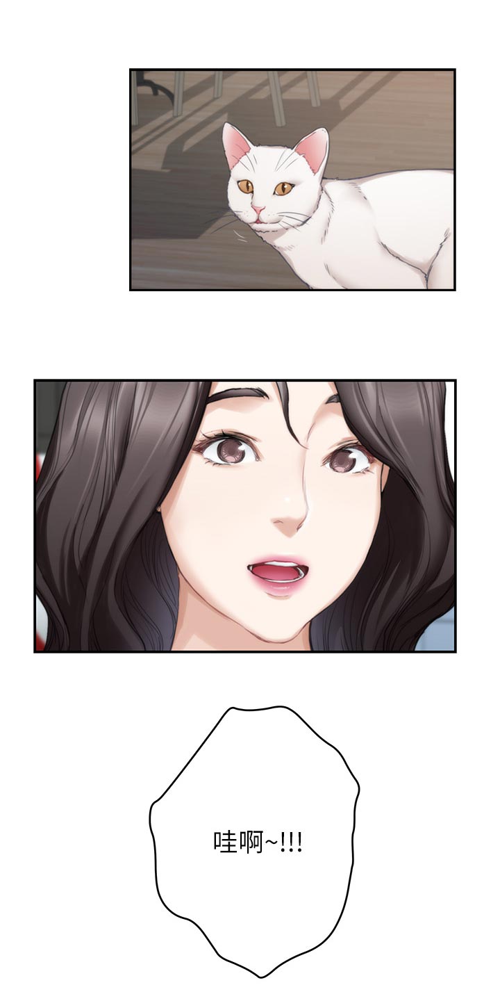 印泥漫画,第127章：小野猫5图