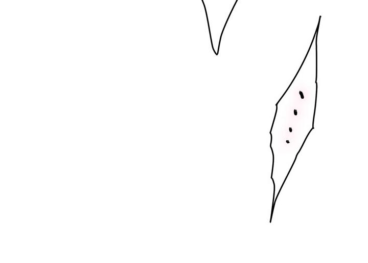 印泥漫画,第132章：忘不了1图