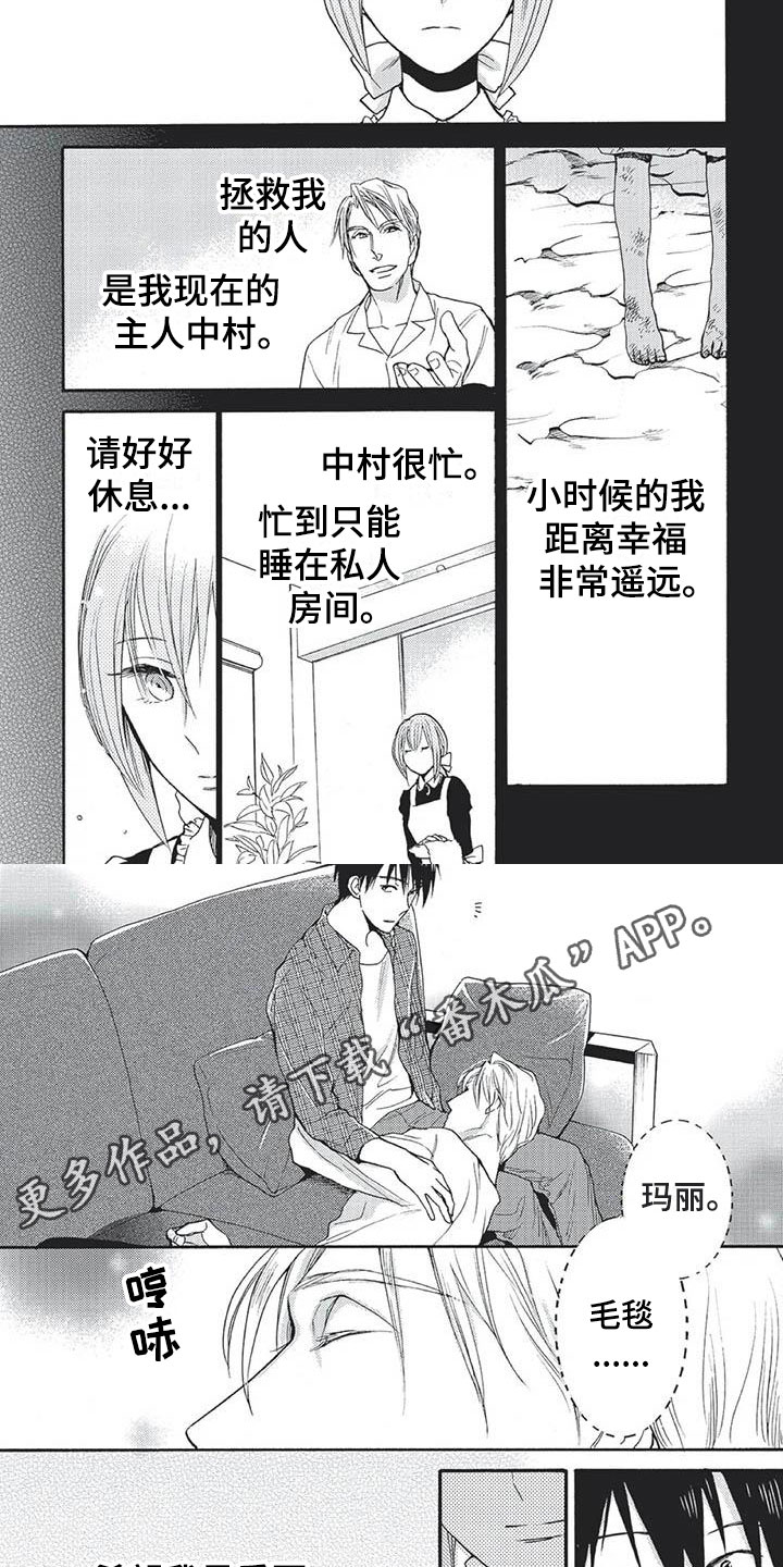 间谍之类的电视剧漫画,第28章：永远幸福（完）3图