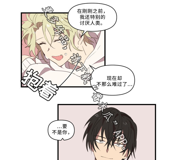 半魔恋人漫画,第32章：我真的好喜欢你2图