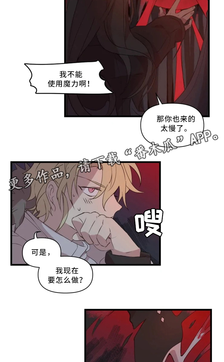 半魔恋人漫画,第33章：战斗准备3图