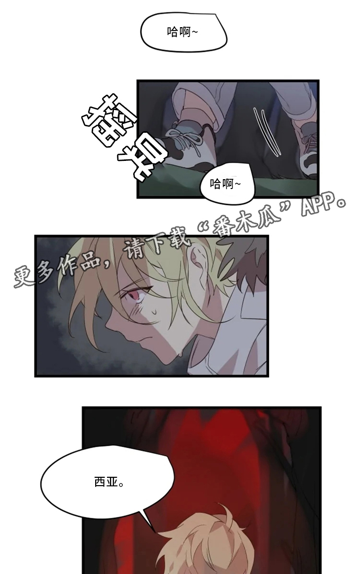 半魔恋人漫画,第33章：战斗准备1图