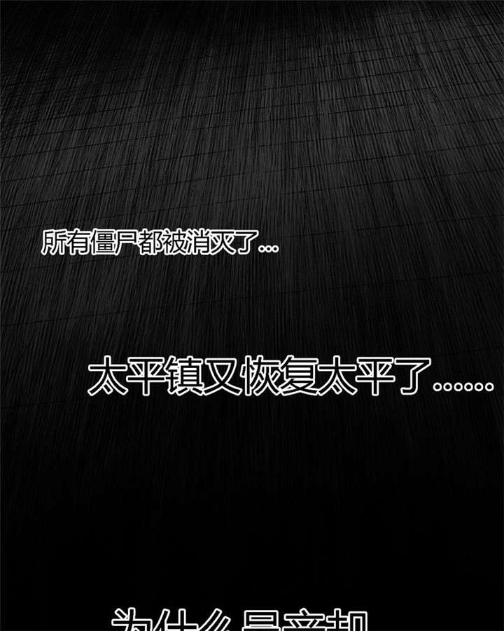 太平镇漫画,第26章：最终话·下篇1图