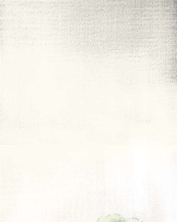 太平镇漫画,第15章：第十四话4图