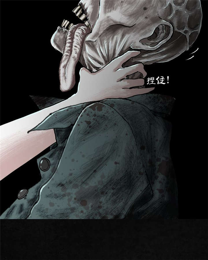 太平镇漫画,第23章：最终话·上篇5图