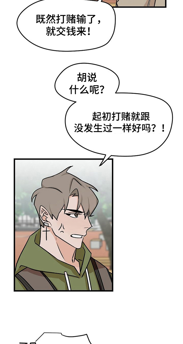 赌约恋人漫画,第38章：不后悔【完结】5图