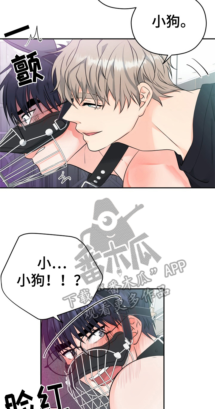 交付完成漫画,第11章：合适3图