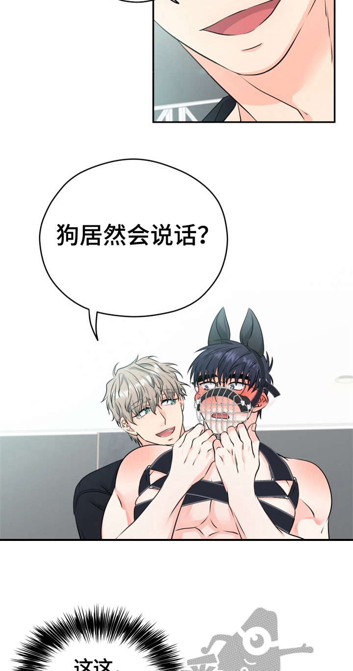 交付完成漫画,第11章：合适5图