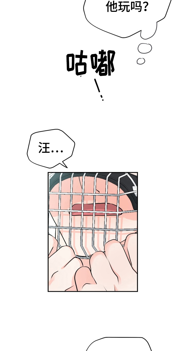 交付完成漫画,第11章：合适2图