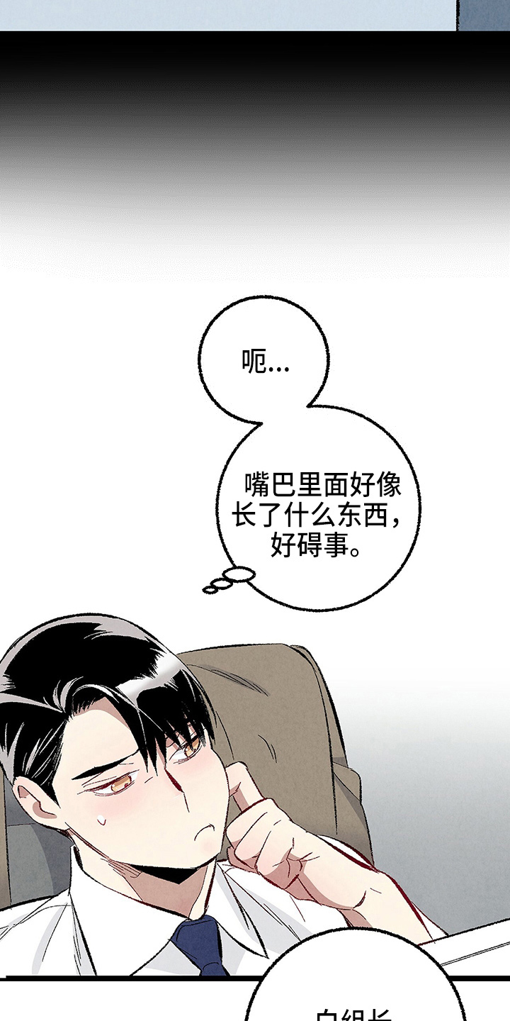 完美伴侣漫画,第96章：【第二季】吓到2图